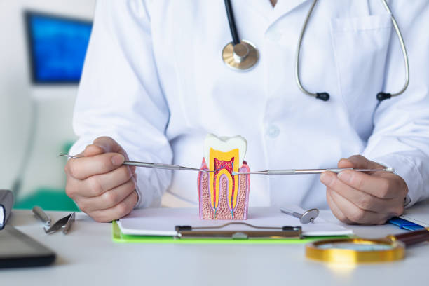 Best Emergency Tooth Extraction in Wixom, MI